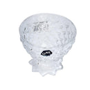 Glass Ice Cream and Dessert Bowl Set of 2 Pcs 240ml