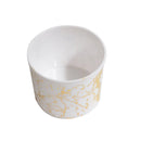 Premium Quality Airtight Acrylic Canister 1 pc 12.8x22.5 cm