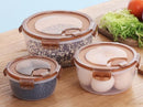 Plastic Food Container Set of 3 Pcs 12*6.5 cm
 14.5*7.5 cm
 17.5*8.5 cm
'6958638910526