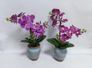 Realistic Touch Artificial Flower Plant