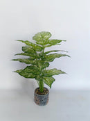 Realistic Touch Artificial Flower Plant