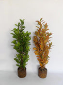 Realistic Touch Artificial Flower Plant
