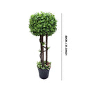 Realistic Touch Artificial Flower Plant 80 cm