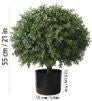 Realistic Touch Artificial Flower Plant 55 cm