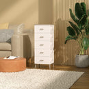 Knockdown 5 Drawer Storage Cabinet