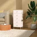 Knockdown 5 Drawer Storage Cabinet