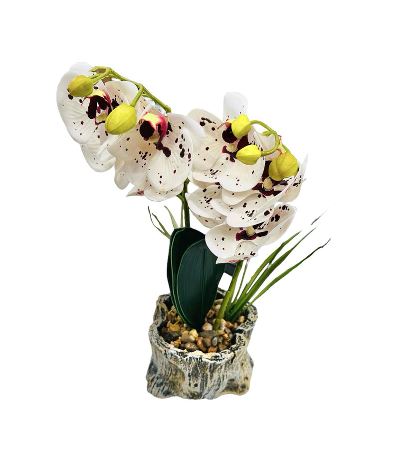 Realistic Touch Artficial Phalaenopsis Orchid Flower Deco Artistic Pot 16*9*42 cm