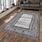 Alonso Modern Artistic Design Machine Woven Indoor Area Rug Carpet Grey and Silver with Floral Frame Border 160*230 cm
