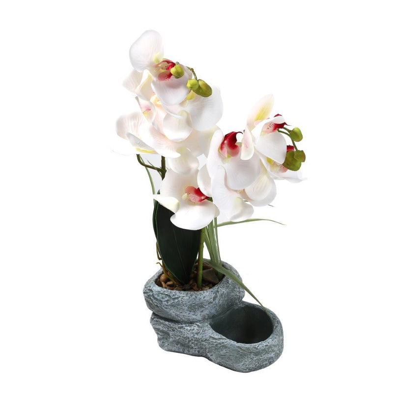 Realistic Touch Artficial Moth Orchids Flower Deco Artistic Pot 18*9*11*40 cm