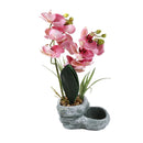 Realistic Touch Artficial Moth Orchids Flower Deco Artistic Pot 18*9*11*40 cm