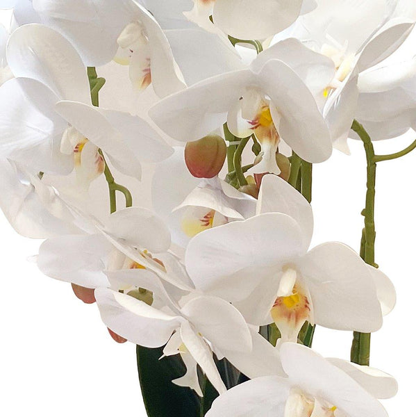 Realistic Touch Artificial Orchid Flower Deco Pot 60 cm