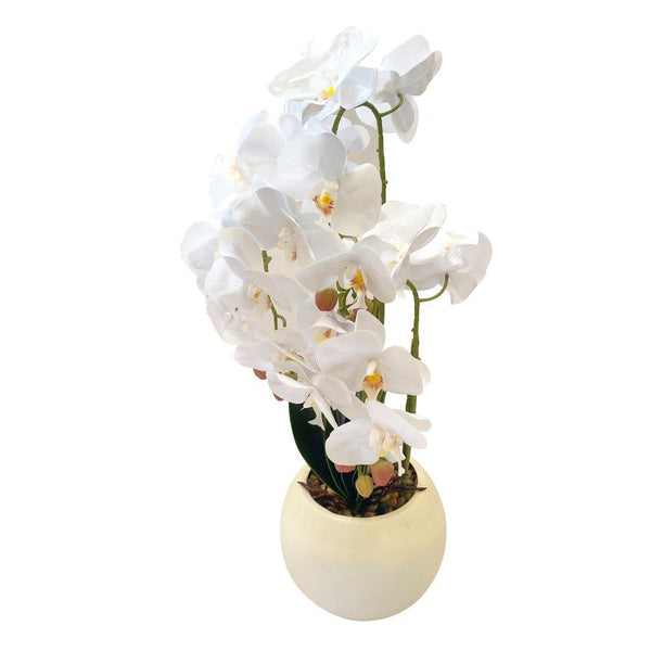 Realistic Touch Artificial Orchid Flower Deco Pot 60 cm
