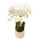 Realistic Touch Artificial Orchid Flower Deco Pot 75 cm