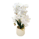 Realistic Touch Artificial Orchid Flower Deco Pot 65 cm