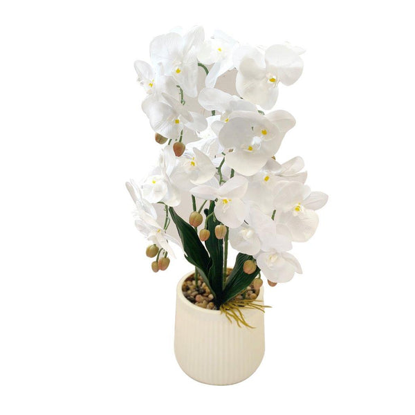 Realistic Touch Artificial Orchid Flower Deco Pot 65 cm