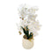 Realistic Touch Artificial Orchid Flower Deco Pot 65 cm