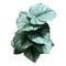 Realistic Touch Artificial Plant Flower Pot Home Interior Deco 70 cm