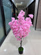 Realistic Touch Artificial Orchid Flower Deco Pot