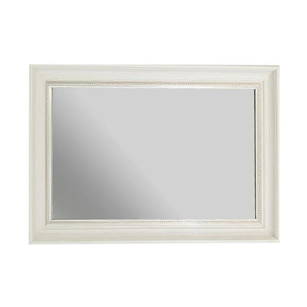 Decorative Glass Rectangular Wall Mirror 50*100 cm