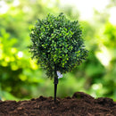 Realistic Touch Artificial Flower Plant 45 cm