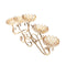 Glass Craft Wedding Table Centrepiece 72*33 cm