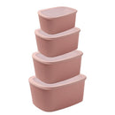 Plastic Airtight Food Container Set/4 Pcs 22.5*29.5*13 cm