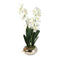 Realistic Touch Artficial Orchid Flower Deco Artistic Pot 55 cm