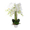 Realistic Touch Artficial Phalaenopsis Orchid Flower Deco Artistic Pot 72 cm