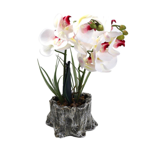 Realistic Touch Artficial Phalaenopsis Orchid Flower Deco Artistic Pot 16*9*42 cm