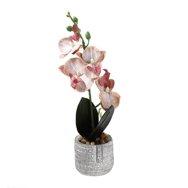 Realistic Touch Artficial Mini Phalaenopsis Orchid Flower Deco Artistic Pot 7.5*7*30 cm