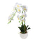 Realistic Touch Artficial Orchid Flower Deco Artistic Pot 50 cm