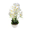 Realistic Touch Artficial Phalaenopsis Orchid Flower Deco Artistic Pot 65 cm