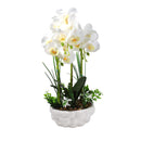 Realistic Touch Artficial Phalaenopsis Orchid Flower Deco Artistic Pot 42 cm