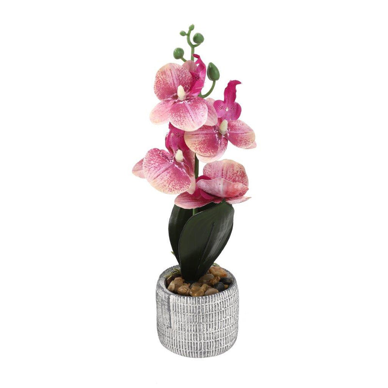Realistic Touch Artficial Mini Phalaenopsis Orchid Flower Deco Artistic Pot 7.5*7*30 cm