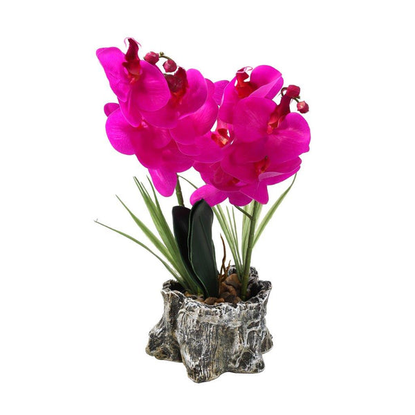 Realistic Touch Artficial Phalaenopsis Orchid Flower Deco Artistic Pot 16*9*42 cm