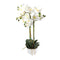 Realistic Touch Artficial Moth Orchid Flower Deco Artistic Pot 55 cm