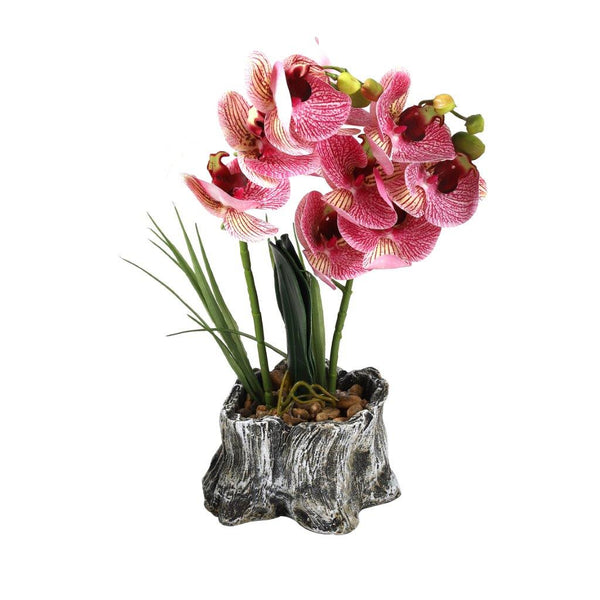 Realistic Touch Artficial Phalaenopsis Orchid Flower Deco Artistic Pot 16*9*42 cm