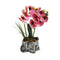 Realistic Touch Artficial Phalaenopsis Orchid Flower Deco Artistic Pot 16*9*42 cm